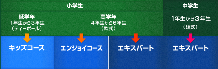 小学校低学年はキッズコース、小学校高学年はエンジョイコースとエキスパート、中学生はエキスパートのコースがあります